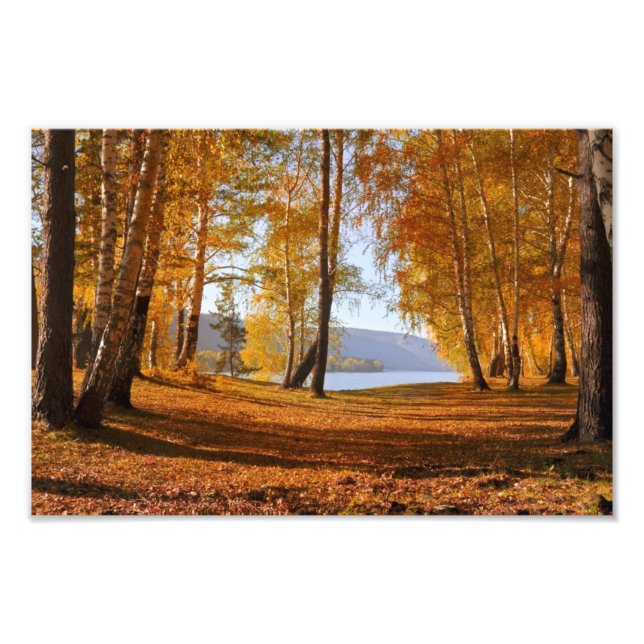 Autumn Landscape Photo Print (Front)