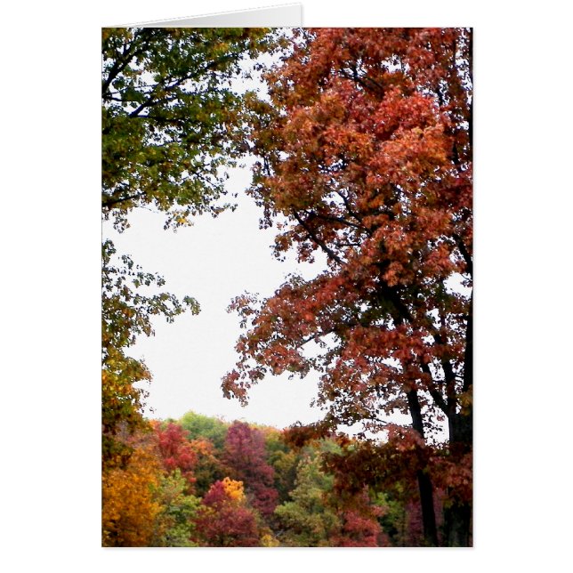 Autumn Landscape Photograph (Front)
