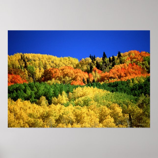Autumn Landscape Poster (Front)