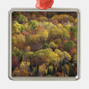 Autumn landscape, Vermont, USA 2 Metal Tree Decoration