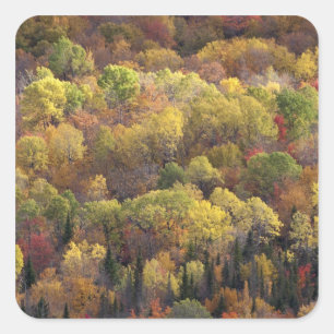 Autumn landscape, Vermont, USA 2 Square Sticker