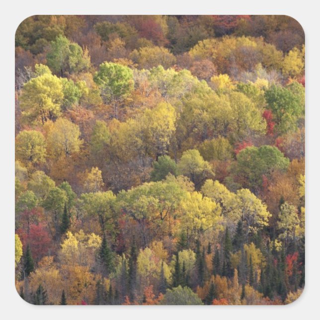 Autumn landscape, Vermont, USA 2 Square Sticker (Front)