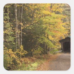 Autumn landscape, Vermont, USA 4 Square Sticker