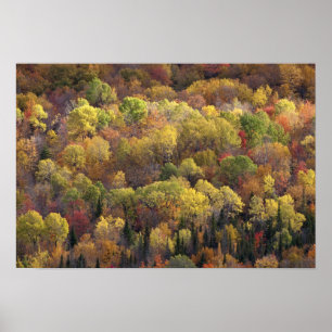 Autumn landscape, Vermont, USA Poster