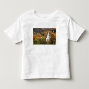 Autumn landscape with church, Vermont, USA Toddler T-Shirt
