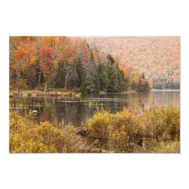 Autumn landscape with lake, Vermont, USA 2 Photo Print (Front)