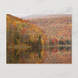Autumn landscape with lake, Vermont, USA 2 Postcard