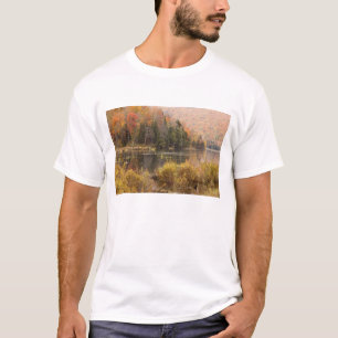 Autumn landscape with lake, Vermont, USA 3 T-Shirt