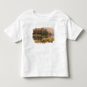 Autumn landscape with lake, Vermont, USA 3 Toddler T-Shirt