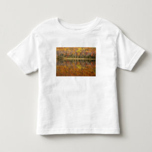 Autumn landscape with lake, Vermont, USA Toddler T-Shirt