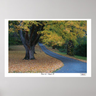 Autumn Lane Poster