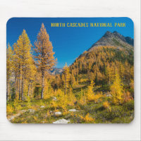 Autumn Larches at Easy Pass Washington