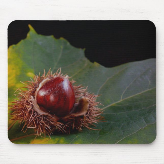 Autumn Leaf and Nut Mouse Pad (Front)