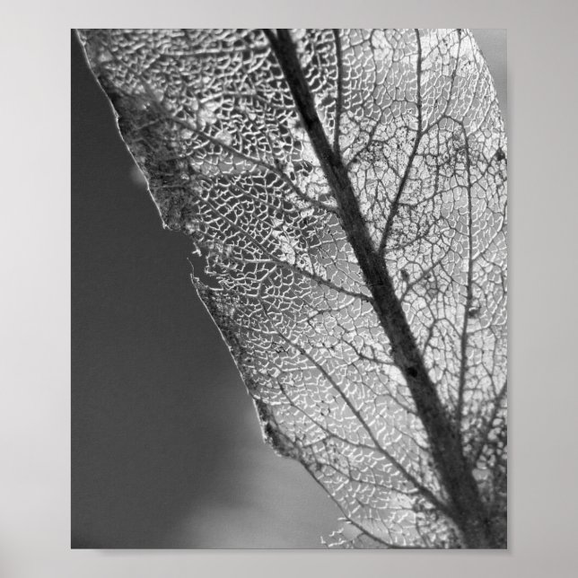 Autumn Leaf - B&W Poster (Front)