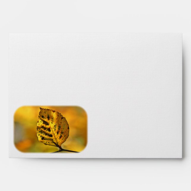 Autumn Leaf Bursting with Colour Envelope (Front)