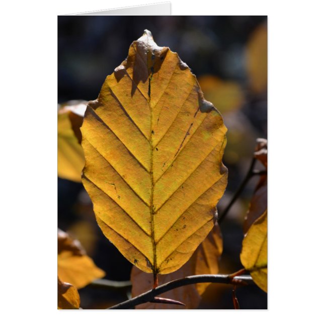 Autumn Leaf Card (Front)