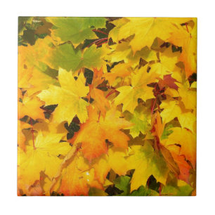 Autumn Leaf Colours Tree Party Destiny Celebration Tile
