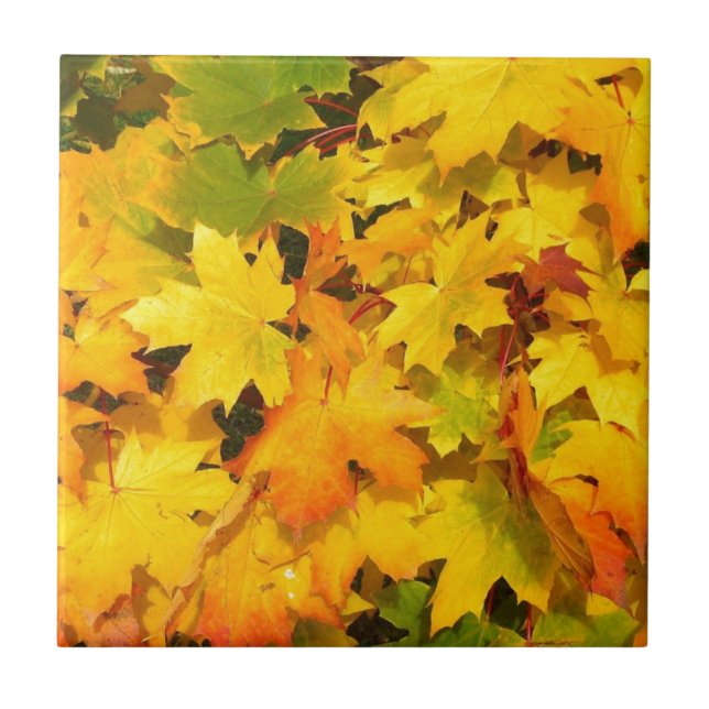 Autumn Leaf Colours Tree Party Destiny Celebration Tile (Front)