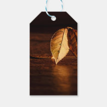 Autumn Leaf Dawn Abstract