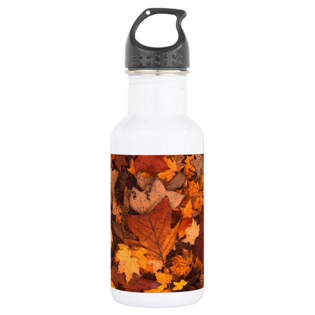 Autumn Leaf Fall Foliage 532 Ml Water Bottle (Front)