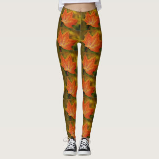 Autumn Leaf leggings