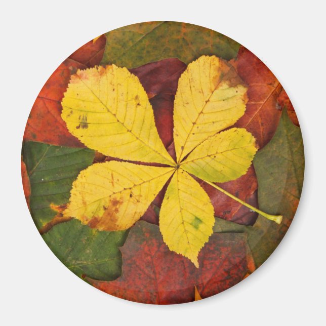 Autumn Leaf Magnet (Front)