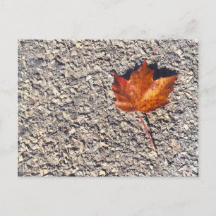 AUTUMN LEAF PHOTO POSTCARD