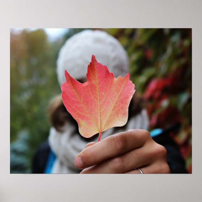 Autumn Leaf poster (Front)