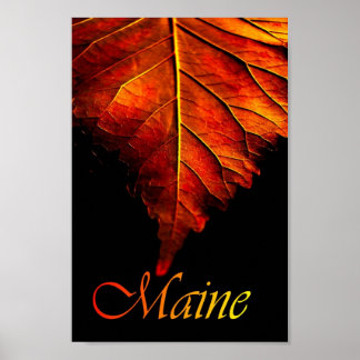 Autumn Leaf Poster | Fall Leaf Poster