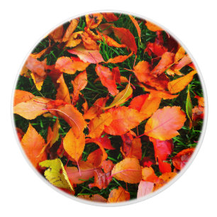 Autumn Leaf Texture Door Knob