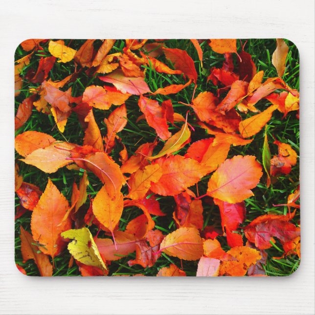 Autumn leaf texture mousepad (Front)
