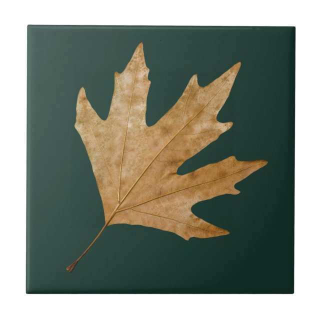 Autumn leaf tile (Front)