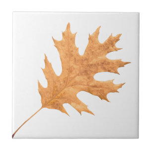 Autumn leaf tile