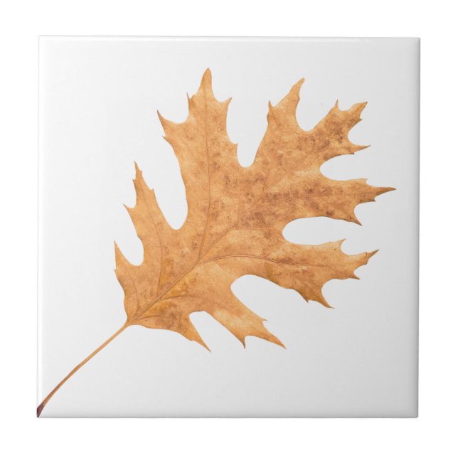 Autumn leaf tile (Front)