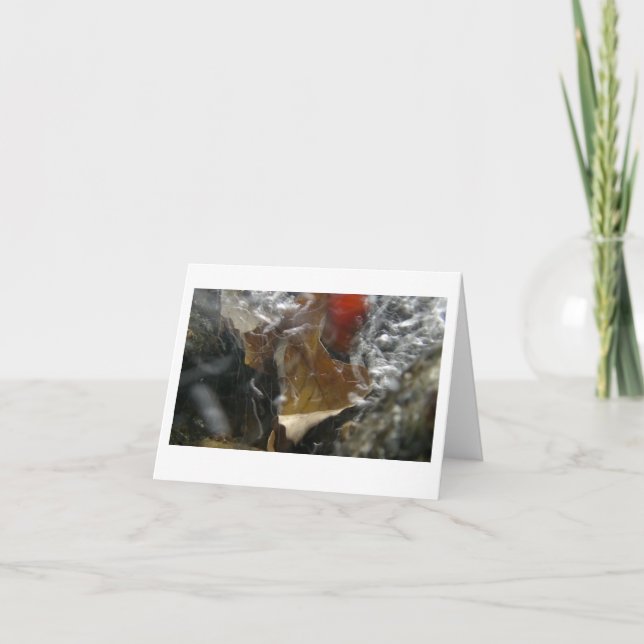 autumn leaf trapped in a cascade thank you card (Front)