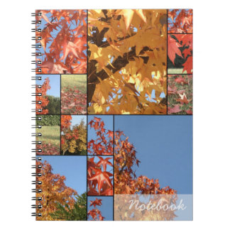 Autumn leafs Notebook