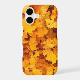 Autumn Leaves