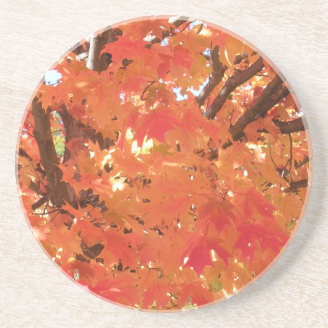 Autumn Leaves 1 Coaster (Front)