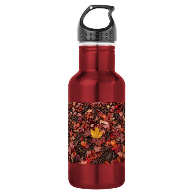 Autumn leaves  532 ml water bottle (Front)