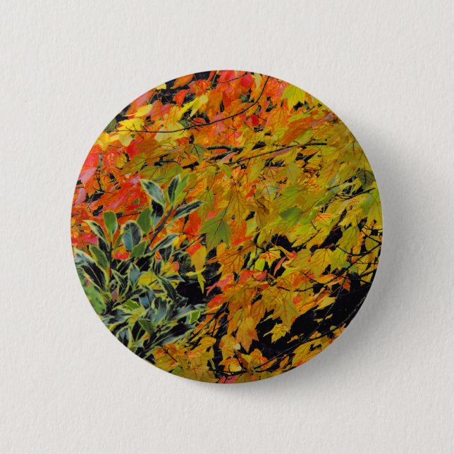 Autumn Leaves 6 Cm Round Badge (Front)