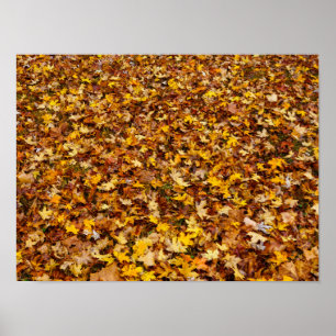 Autumn Leaves Abstract Poster