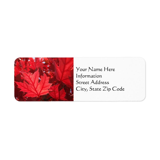 Autumn Leaves Address Labels Custom Fall Tree Leaf (Front)