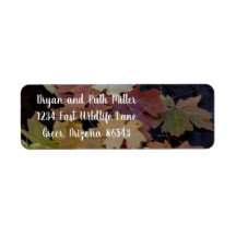 Autumn leaves all around