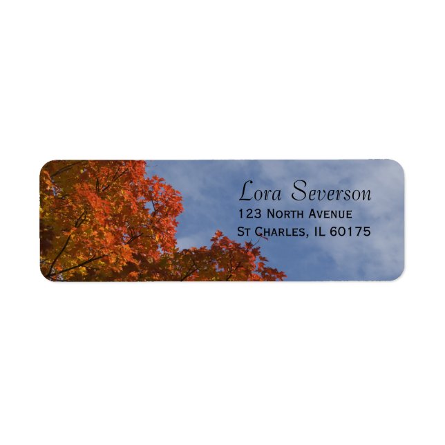 Autumn Leaves and Blue Sky Return Address Label (Front)