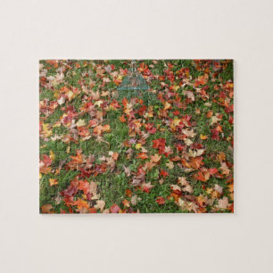 Autumn Leaves and Rake  Jigsaw Puzzle