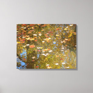Autumn Leaves and Stream Reflection at Greenbelt Canvas Print