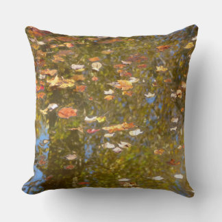 Autumn Leaves and Stream Reflection at Greenbelt Cushion