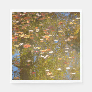 Autumn Leaves and Stream Reflection at Greenbelt Napkin