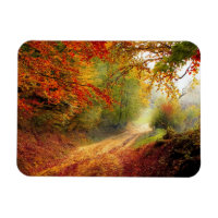Autumn Leaves and Trees Covering Dirt Road
