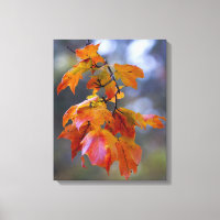 Autumn Leaves
